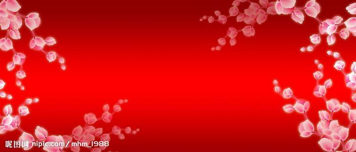 旺格努依理工学院DiplomainBusinessManagement